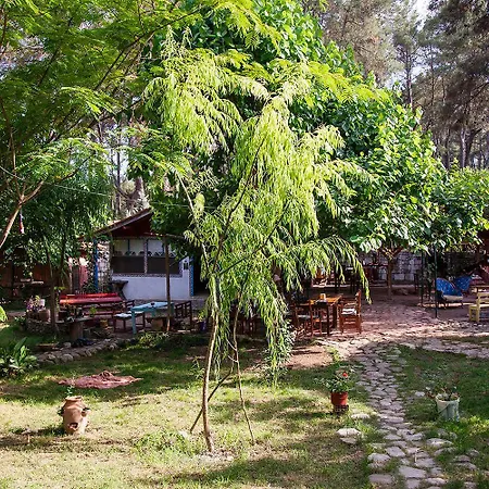 Homestay Eskibeyaz *
